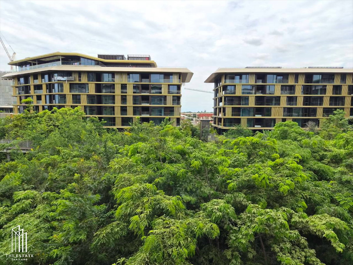 รูป For rent Mulberry Grove The Forestias Condo ห้องมุม วิวสวนป่า 30 ไร่ @130,000 Baht - รูปที่ 18/25