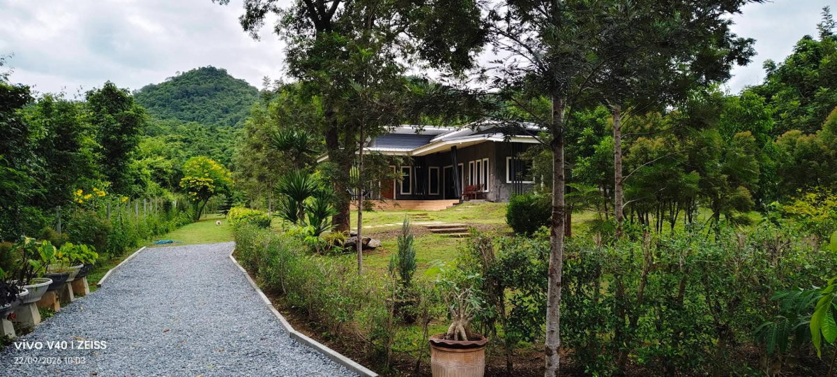 Land with house for sale in Khao Yai (Nong Nam Daeng, Pak Chong)—1.5 Rai. near Thanarat Road M6 ​​Motorway Makro. easy access to hospitals markets.