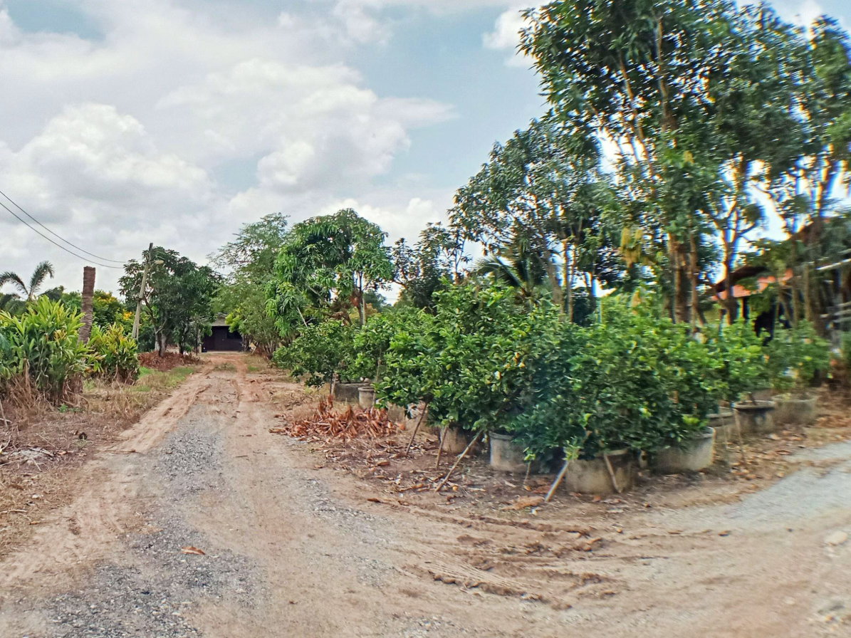 รูป ด่วน ! ขายที่ดินแปลงสวย 14 ไร่ 3 งาน 6 ตร.ว  ทำเลทอง ศักยภาพสูง ใกล้วัดสมานรัตนาราม จ.ฉะเชิงเทรา เพียง 5 นาที! - รูปที่ 8/12