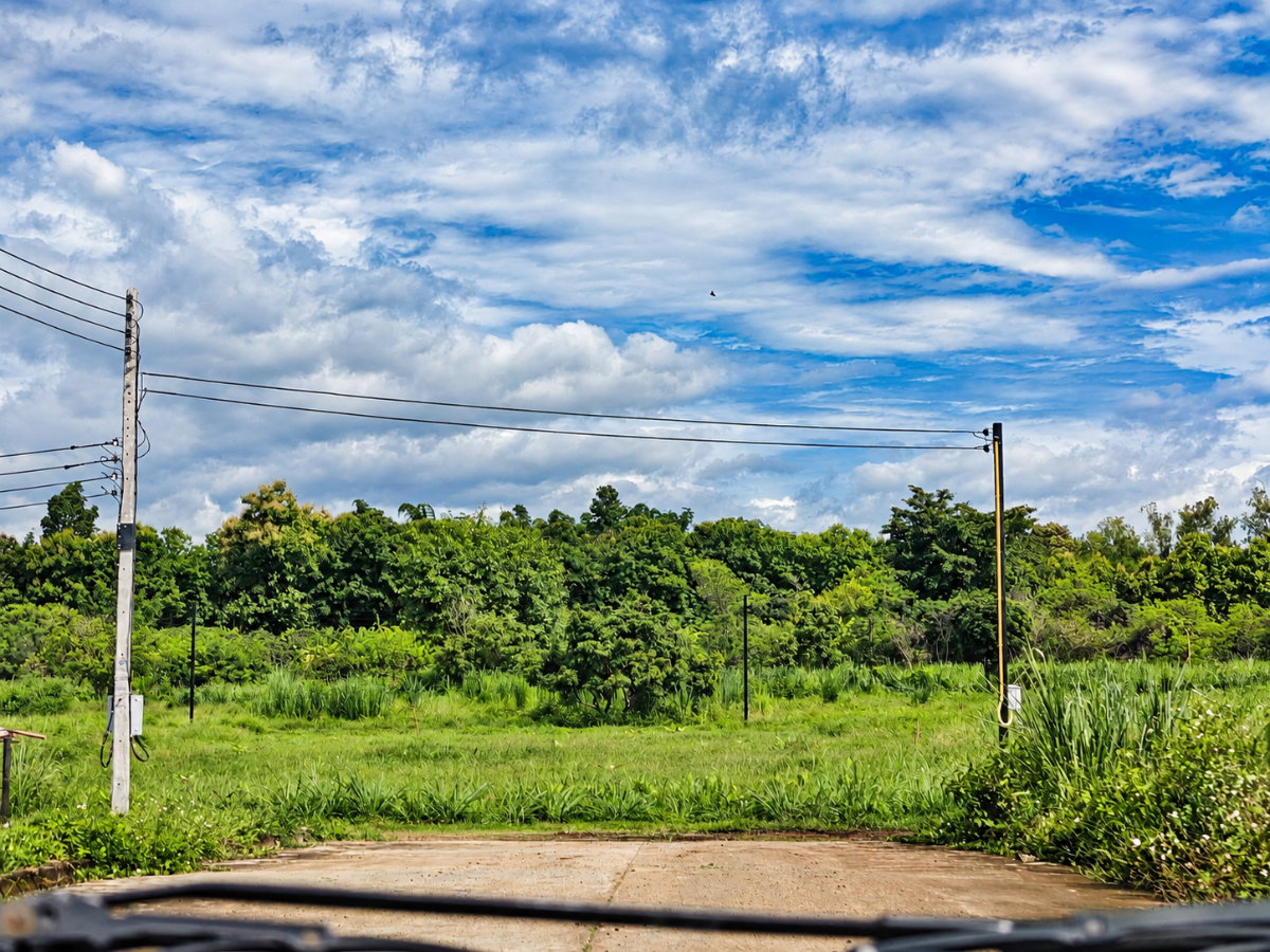 รูป ที่ดินสันทราย 146 ไร่ 243 แปลง | โอกาสลงทุนโครงการใหญ่เชียงใหม่ - U6781011 - รูปที่ 5/10