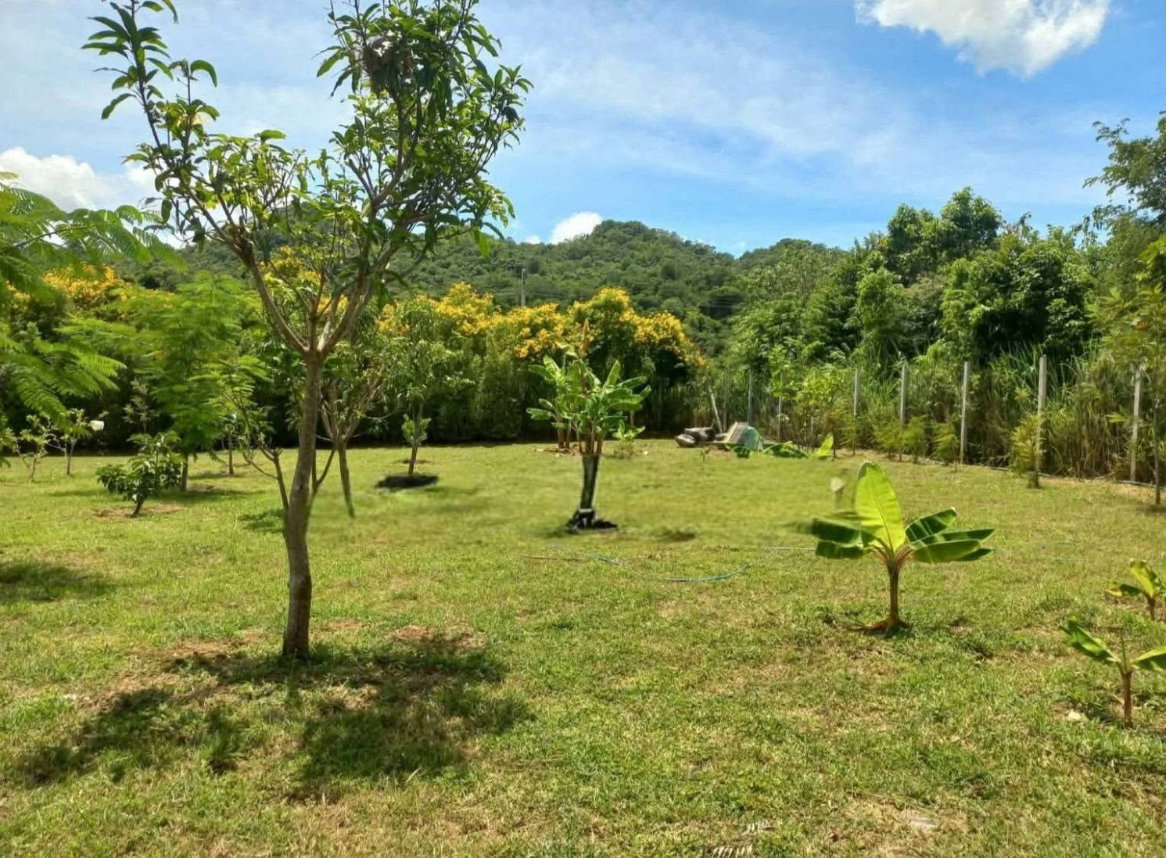รูป ขายที่ดินพร้อมบ้านเขาใหญ่ ปากช่อง 1.5 ไร่ หนองน้ำแดง ใกล้ถนนธนะรัชต์ มอเตอร์เวย์ M6 แม็คโคร วิวเขาสวยล้อม ที่สูงน้ำไม่ท่วม เดินทางสะดวก ใกล้โรงพยาบาล - รูปที่ 15/16