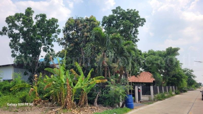 รูป บ้านเดี่ยว พร้อมที่ดินธรรมชาติ ซอย ชมวิหค คลอง 5 พื้นที่ 2 งาน ราคาถูก - รูปที่ 13/15