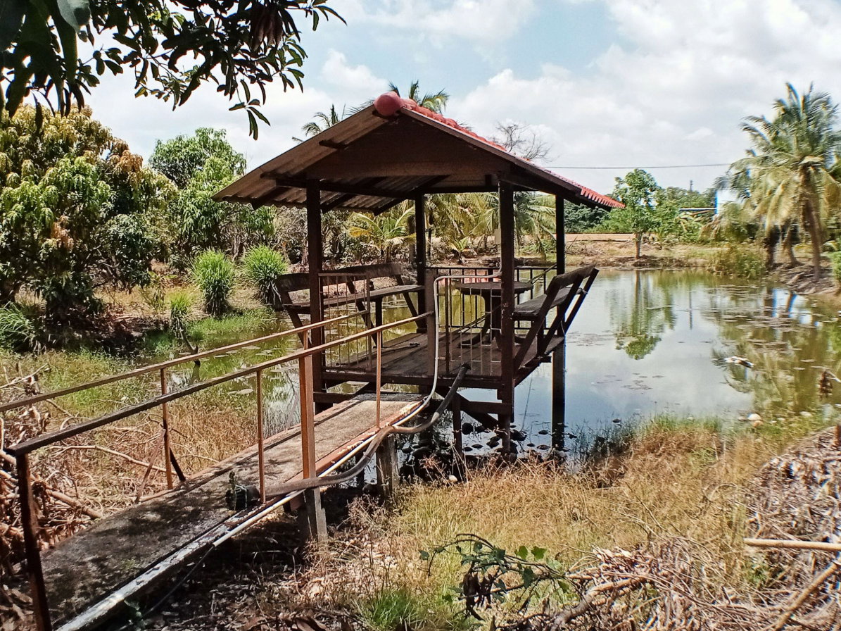 รูป ด่วน ! ขายที่ดินแปลงสวย 14 ไร่ 3 งาน 6 ตร.ว  ทำเลทอง ศักยภาพสูง ใกล้วัดสมานรัตนาราม จ.ฉะเชิงเทรา เพียง 5 นาที! - รูปที่ 10/12