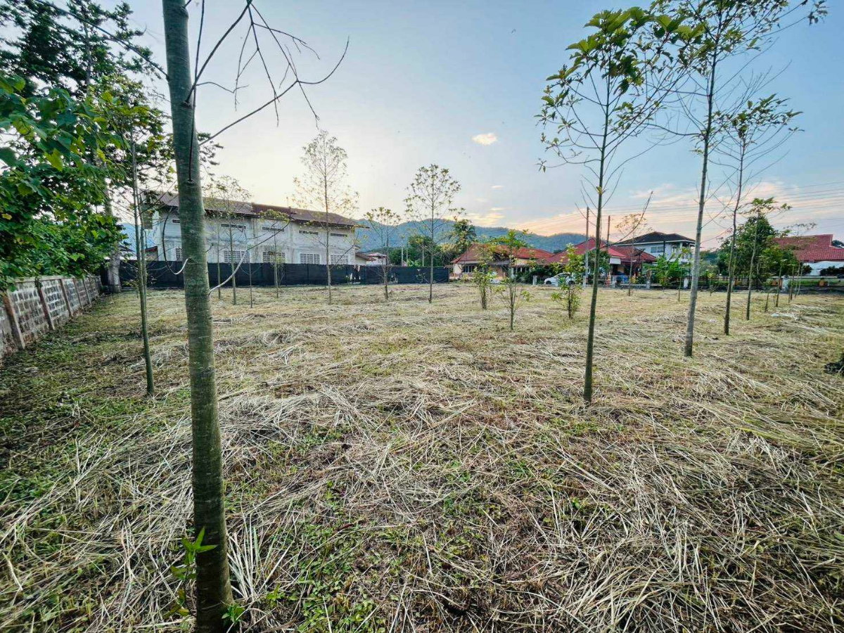 รูป 98697 - ขาย ที่ดินเปล่า ถมแล้ว 139 ตรว. ในโครงการบ้านระเบียงชมฟ้า รีสอร์ท เชียงราย ทำเลดี ใกล้ถนนพหลโยธินเพียง 100 เมตร - รูปที่ 3/6