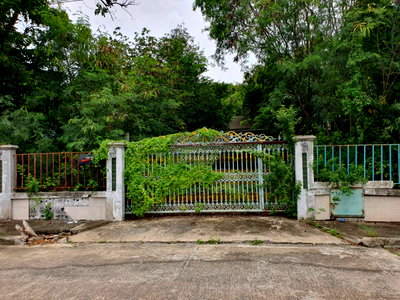 Houses for sale Nonthaburi : For Sale House , Seranee Lagoon , MRT-Khong Bang Phai , Bang Rak Phatthana , Bang Bua Thong , Nonthaburi , CX-177849 ✅ Live chat with us ADD LINE @connexproperty ✅