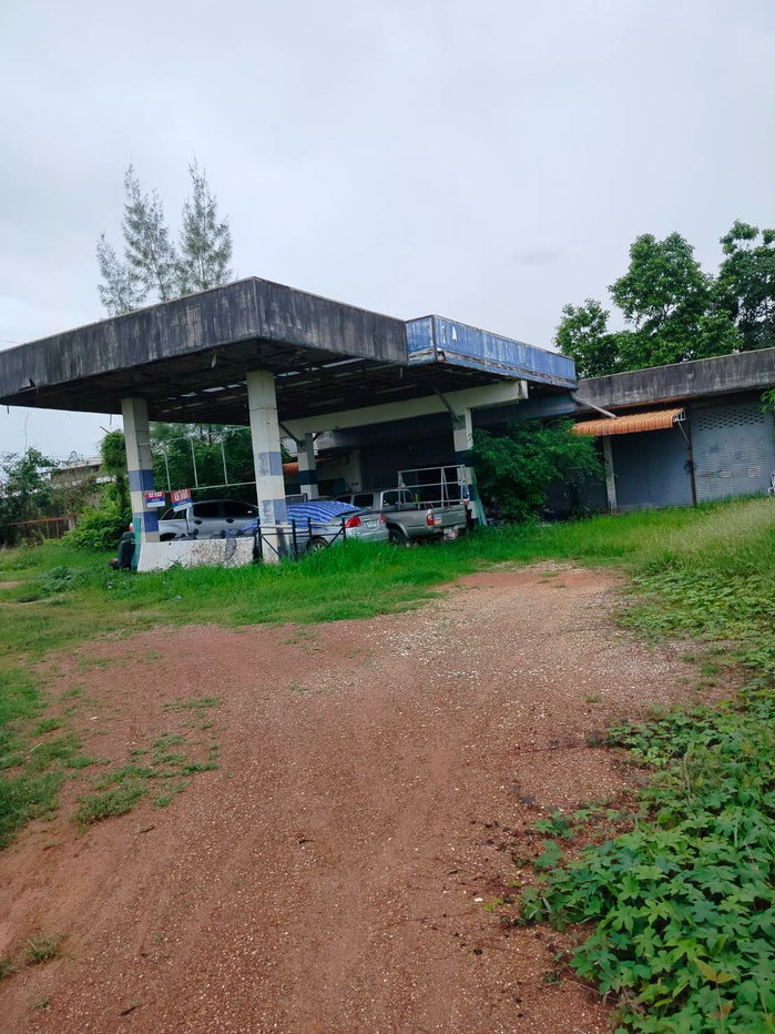 รูป 98141 - ขาย ที่ดินเพื่อการเกษตร ตั้งอยู่ในพื้นที่ ชลประทาน มีน้ำตลอดปี 15-2-40 ไร่ ต.คอรุม อ.พิชัย จ.อุตรดิตถ์ - รูปที่ 8/9