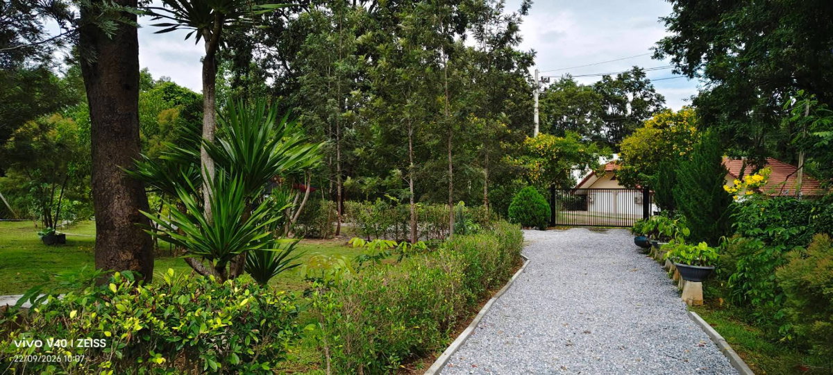 รูป ขายที่ดินพร้อมบ้านเขาใหญ่ ปากช่อง 1.5 ไร่ หนองน้ำแดง ใกล้ถนนธนะรัชต์ มอเตอร์เวย์ M6 แม็คโคร วิวเขาสวยล้อม ที่สูงน้ำไม่ท่วม เดินทางสะดวก ใกล้โรงพยาบาล - รูปที่ 2/16