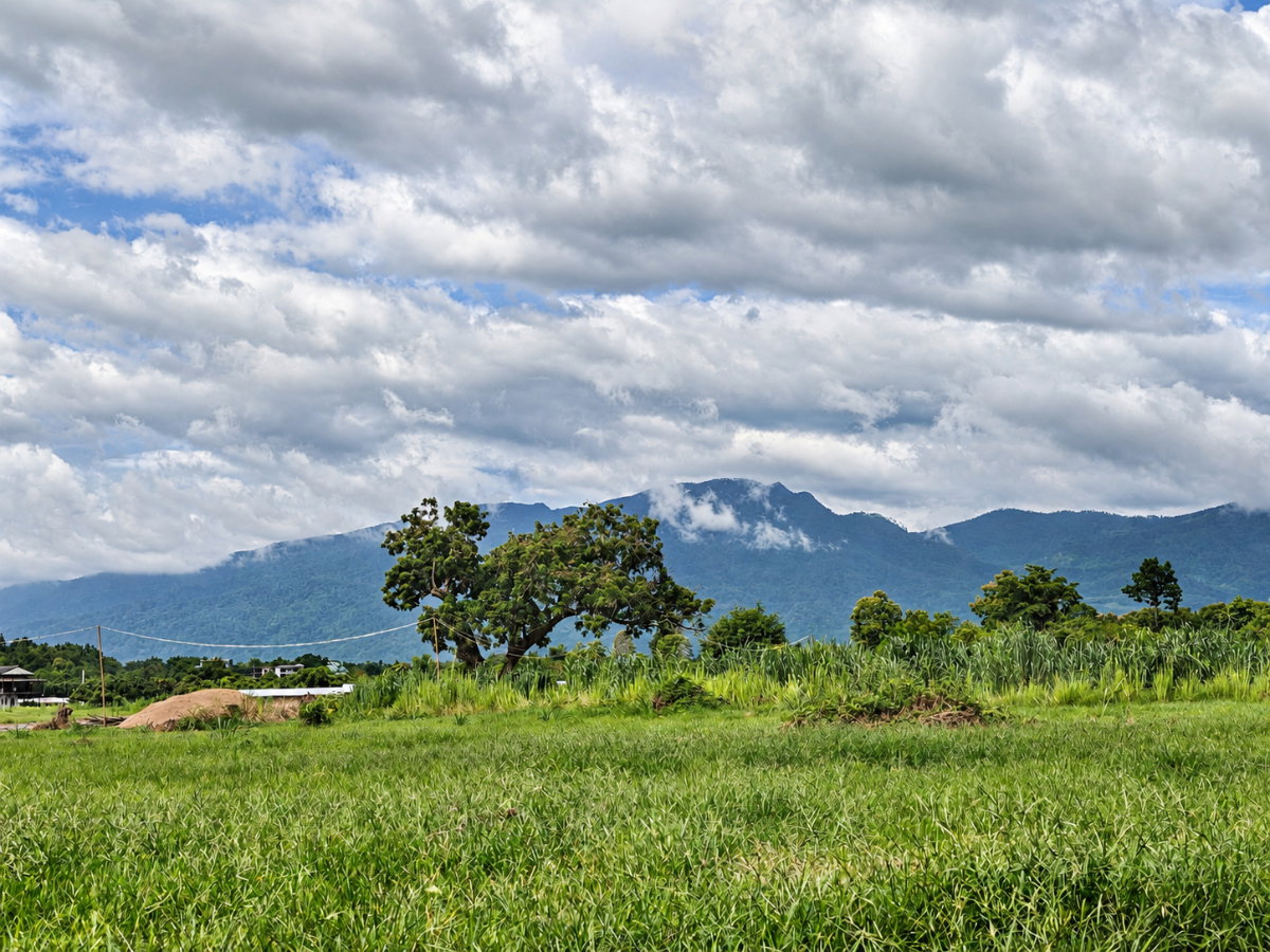 รูป ที่ดินสันทราย 146 ไร่ 243 แปลง | โอกาสลงทุนโครงการใหญ่เชียงใหม่ - U6781011 - รูปที่ 4/10