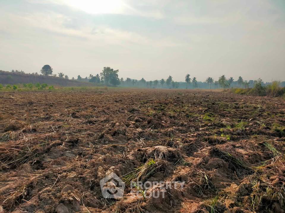 รูป ขายที่ดินเปล่าในเขาไม้แก้ว บางละมุง ชลบุรี (ID 3348626) - รูปที่ 14/26