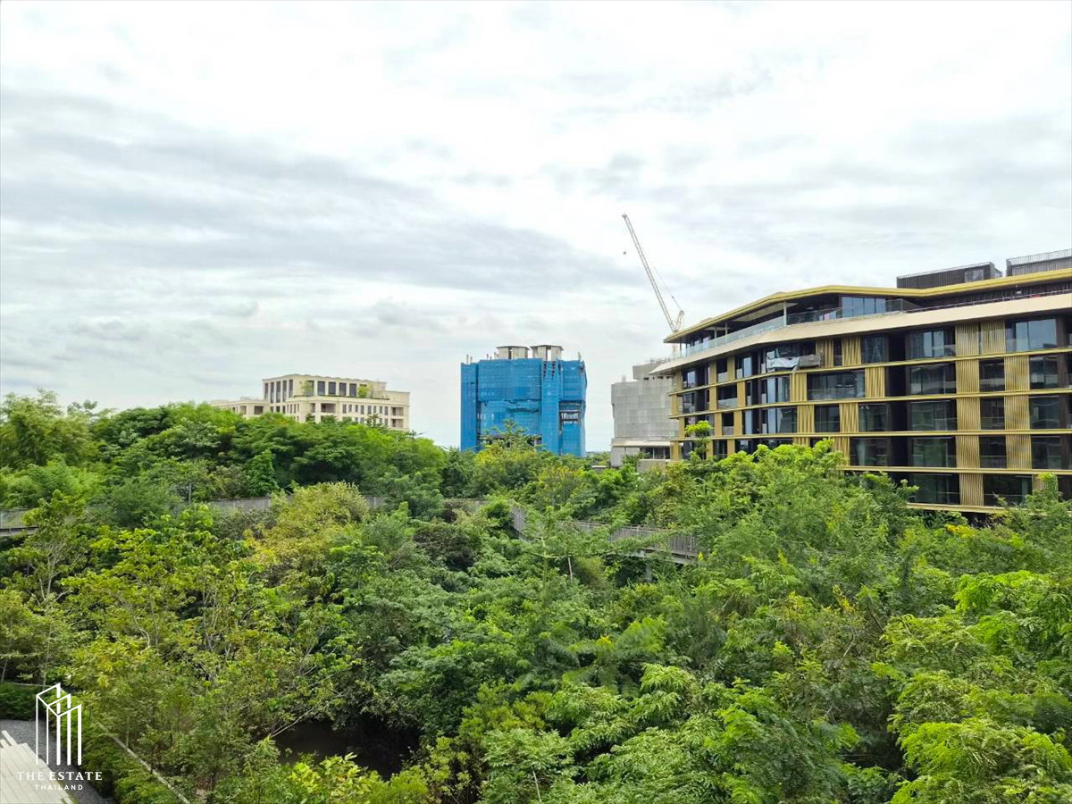รูป For rent Mulberry Grove The Forestias Condo ห้องมุม วิวสวนป่า 30 ไร่ @130,000 Baht - รูปที่ 11/25