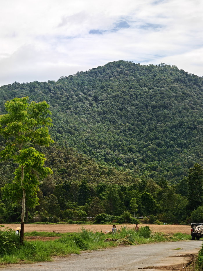 รูป Rare Opportunity ที่ดิน 262 ไร่ เชียงใหม่ | วิวภูเขาเพื่อโครงการระดับใหญ่ - U6780904 - รูปที่ 6/9
