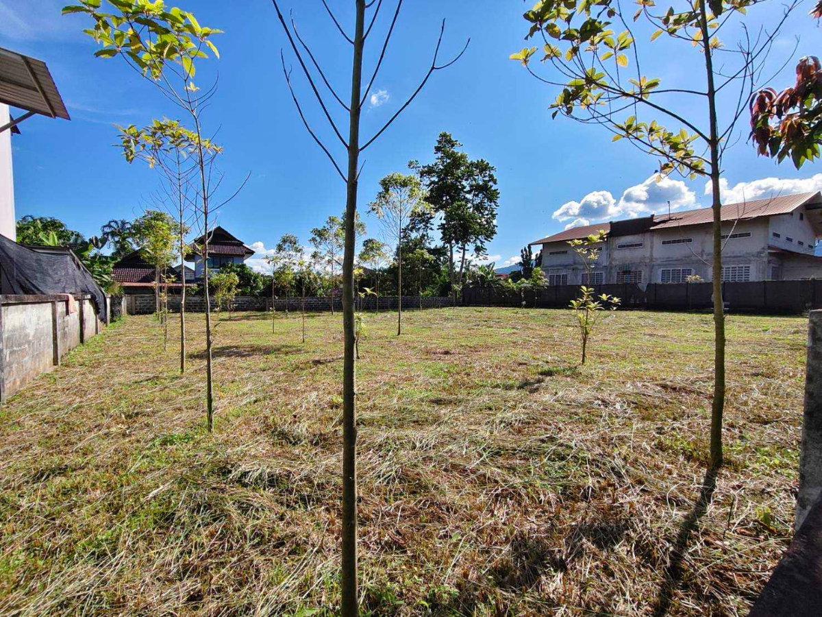 รูป 98698 - ขาย ที่ดินเปล่า ถมแล้ว 127.6 ตรว. ในโครงการบ้านระเบียงชมฟ้า รีสอร์ท เชียงราย ทำเลดี ใกล้ถนนพหลโยธินเพียง 100 เมตร - รูปที่ 4/6