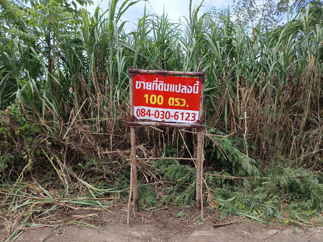 รูป ขายที่ดินเปล่า 100 ตารางวา ใกล้ถนนรังสิต-นครนายก ในซอยคลองสาม 1/5  ถนนเลียบคลองสาม คลองหลวง รังสิต ปทุมธานี - รูปที่ 2/4