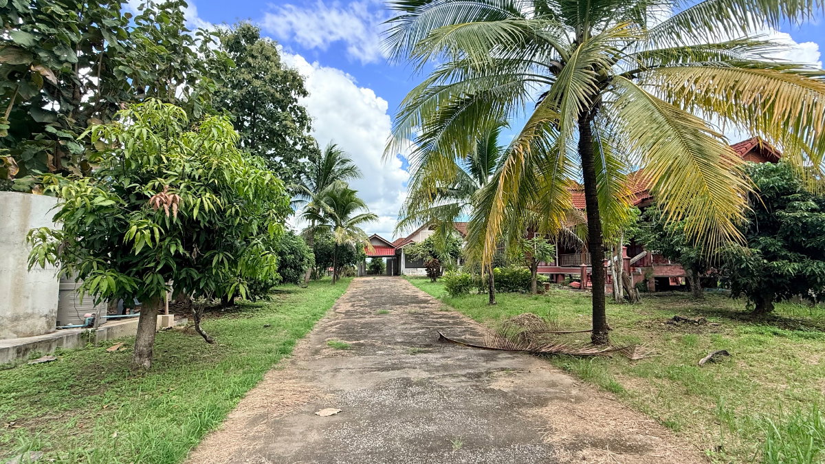 picture Sell land & 2 houses in Phayao Muang - 2/6