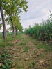 listing thumbnail image 1
