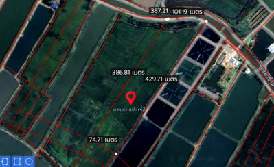 Land for sale Phanat Nikhom Chonburi : 27 Rai 2 Ngan 91 Sq.Wah of Agricultural Land for Sale in Tha Kham, Phanat Nikhom, Chonburi | #TPI-3496
