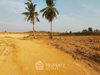 listing thumbnail image 21
