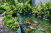 listing thumbnail image 22