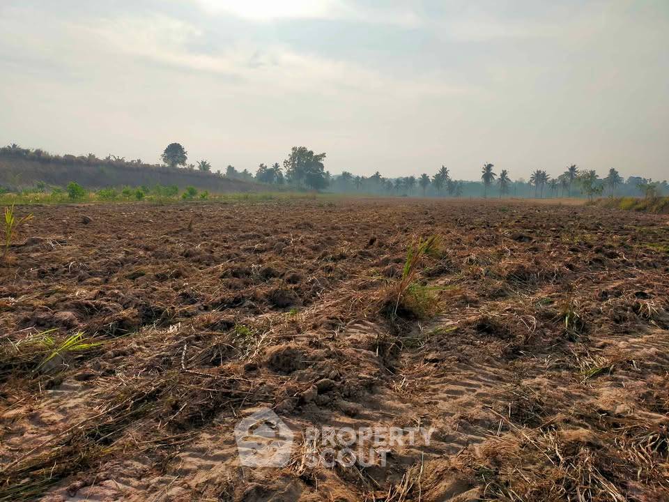 รูป ขายที่ดินเปล่าในเขาไม้แก้ว บางละมุง ชลบุรี (ID 3348626) - รูปที่ 16/26