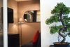 listing thumbnail image 24