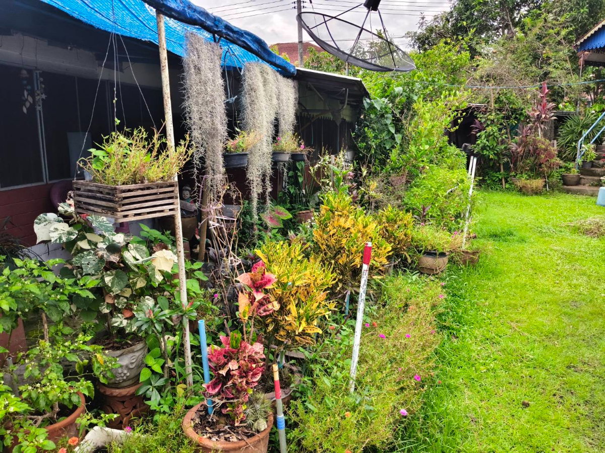 95858 - ขายบ้านพร้อมที่ดินขนาด 200 ตารางวา ทำเลดี