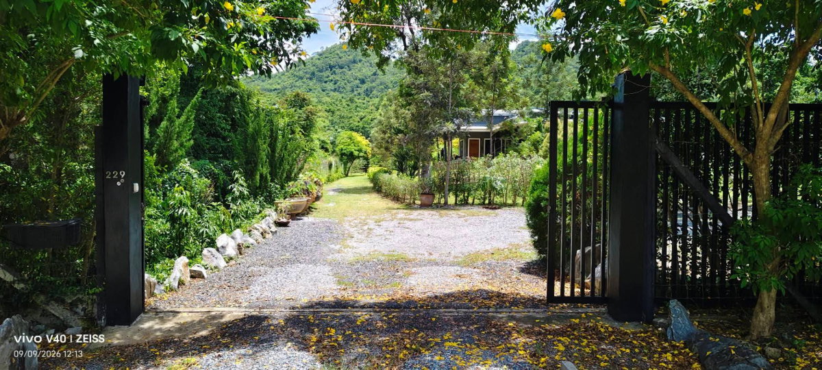 รูป ขายที่ดินพร้อมบ้านเขาใหญ่ ปากช่อง 1.5 ไร่ หนองน้ำแดง ใกล้ถนนธนะรัชต์ มอเตอร์เวย์ M6 แม็คโคร วิวเขาสวยล้อม ที่สูงน้ำไม่ท่วม เดินทางสะดวก ใกล้โรงพยาบาล - รูปที่ 16/16