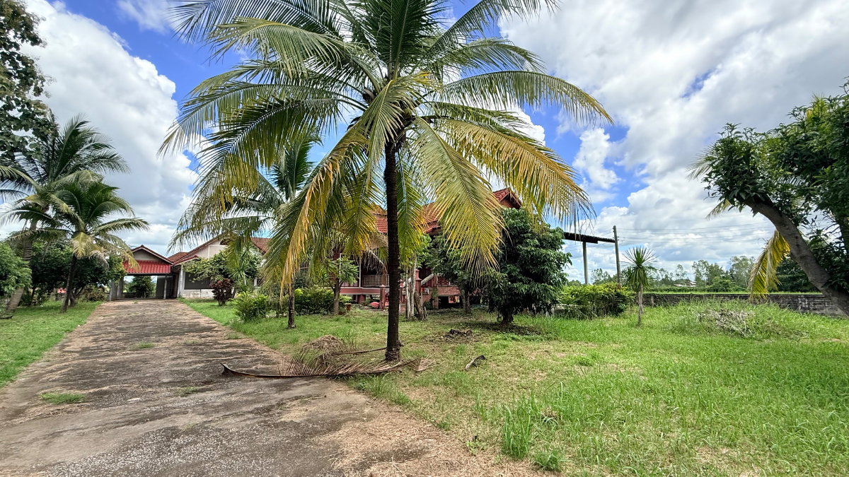 picture Sell land & 2 houses in Phayao Muang - 3/6