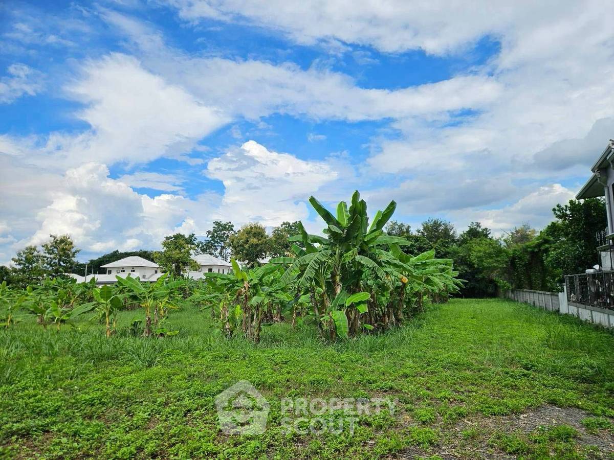 picture 1,788 m² Land for Sale in Don Kaeo (ID 3341138) - 6/6
