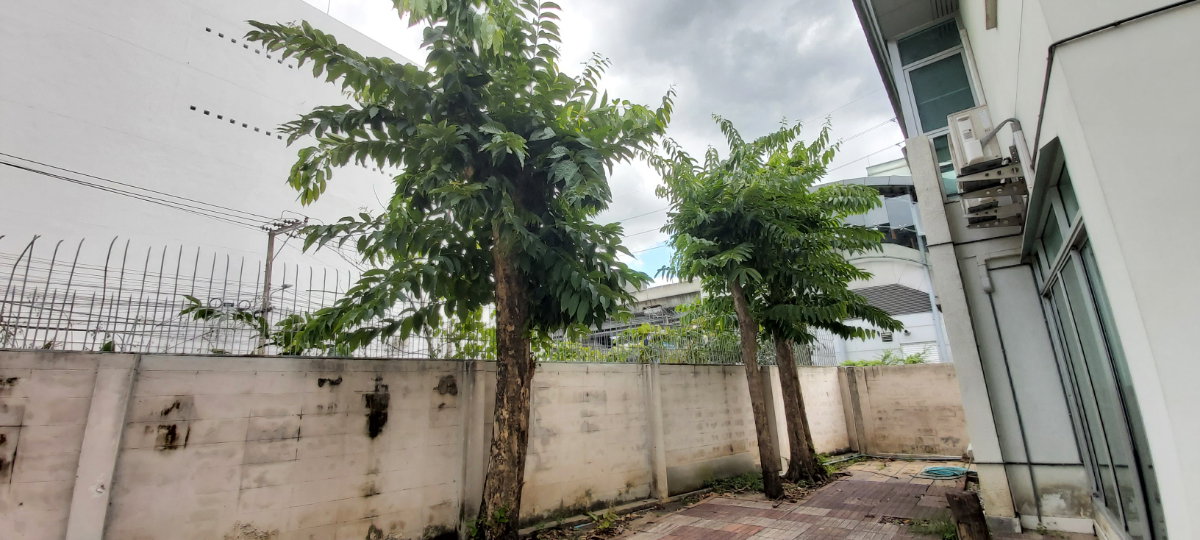รูป ให้เช่า โฮมออฟฟิส  ติดสถานีรถไฟฟ้า 0 เมตร - รูปที่ 13/19