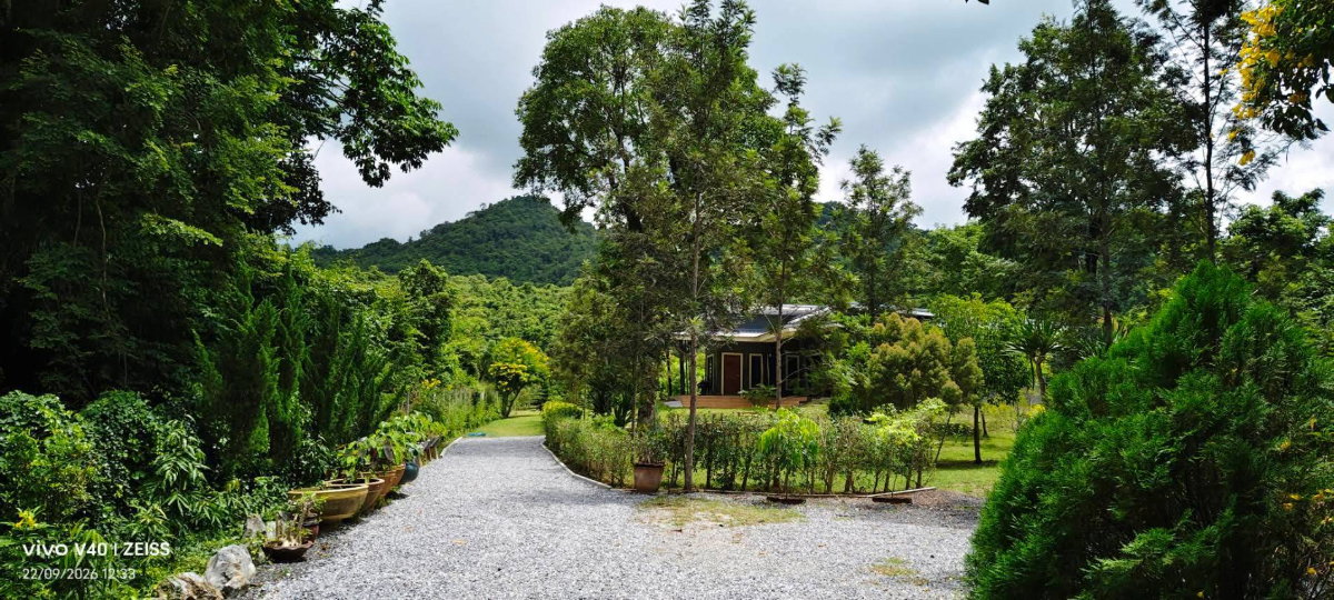 รูป ขายที่ดินพร้อมบ้านเขาใหญ่ ปากช่อง 1.5 ไร่ หนองน้ำแดง ใกล้ถนนธนะรัชต์ มอเตอร์เวย์ M6 แม็คโคร วิวเขาสวยล้อม ที่สูงน้ำไม่ท่วม เดินทางสะดวก ใกล้โรงพยาบาล - รูปที่ 3/16