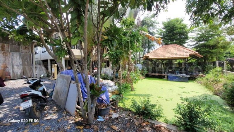 รูป บ้านเดี่ยว พร้อมที่ดินธรรมชาติ ซอย ชมวิหค คลอง 5 พื้นที่ 2 งาน ราคาถูก - รูปที่ 5/15