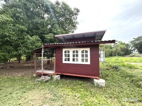 รูป บ้านเดี่ยว 100 ตร.วา ประทาย นครราชสีมา 340,000 - รูปที่ 16/19