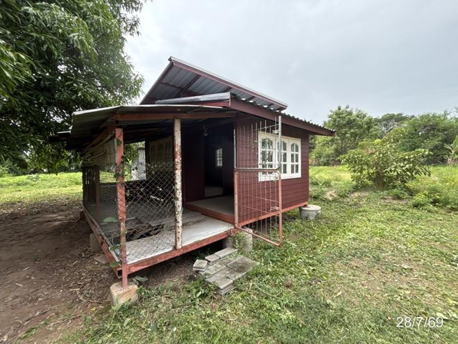 รูป บ้านเดี่ยว 100 ตร.วา ประทาย นครราชสีมา 340,000 - รูปที่ 4/19