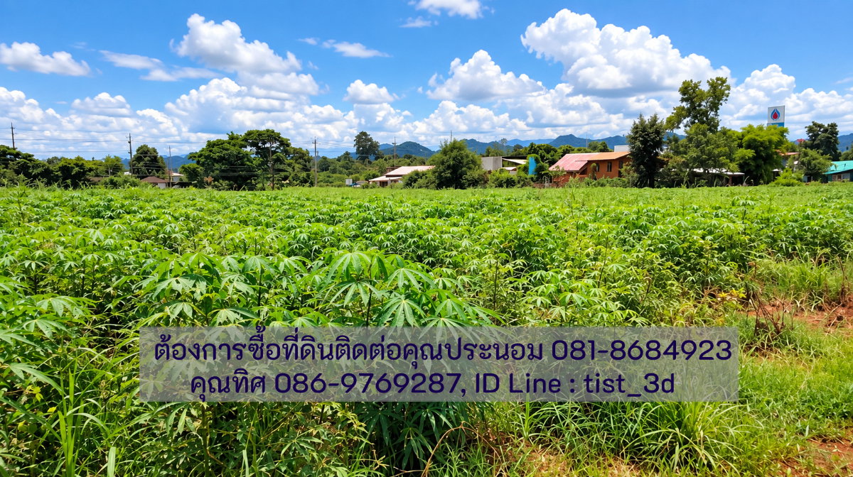 รูป ขายที่ดินแปลงใหญ่ ปากช่อง ติดถนนมิตรภาพ โฉนดที่ดิน ครุตแดง (น.ส.4.จ)  53 ไร่ 1 งาน 73.8 ตารางวา - รูปที่ 16/17