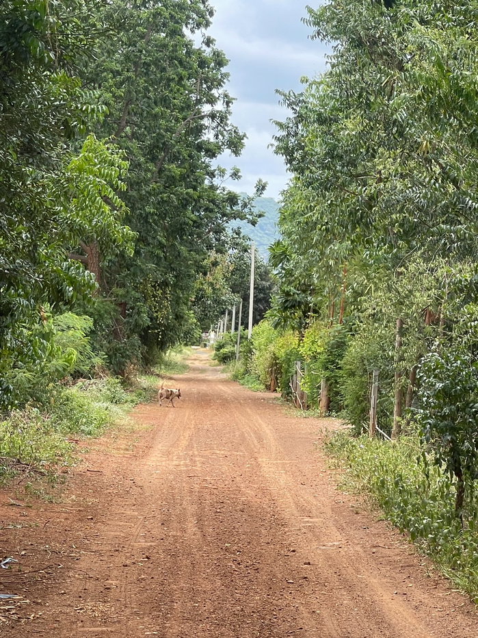 รูป ขายที่ดินกาญจนบุรี 380 ตร.ว. ใกล้แหล่งท่องเที่ยว ติดเขา อากาศดี - รูปที่ 2/12