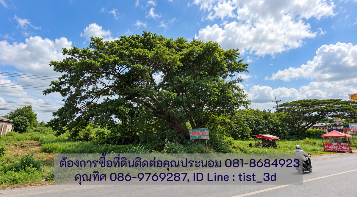 รูป ขายที่ดินแปลงใหญ่ ปากช่อง ติดถนนมิตรภาพ โฉนดที่ดิน ครุตแดง (น.ส.4.จ)  53 ไร่ 1 งาน 73.8 ตารางวา - รูปที่ 8/17