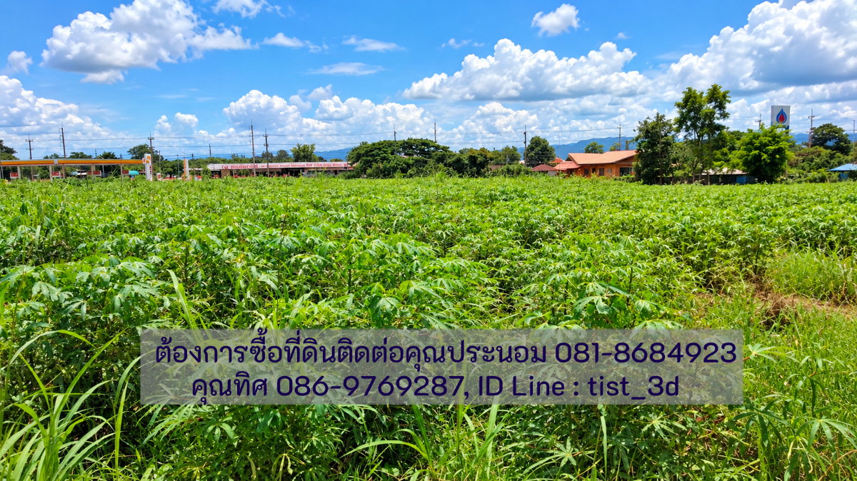 รูป ขายที่ดินแปลงใหญ่ ปากช่อง ติดถนนมิตรภาพ โฉนดที่ดิน ครุตแดง (น.ส.4.จ)  53 ไร่ 1 งาน 73.8 ตารางวา - รูปที่ 12/17