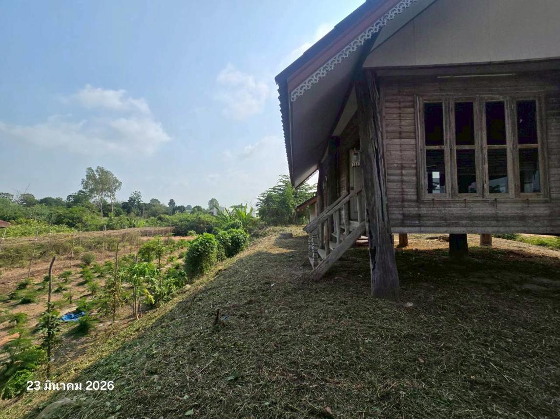 รูป บ้านเดี่ยว 398 ตร.วา บางระกำ พิษณุโลก 2.6M - รูปที่ 20/35