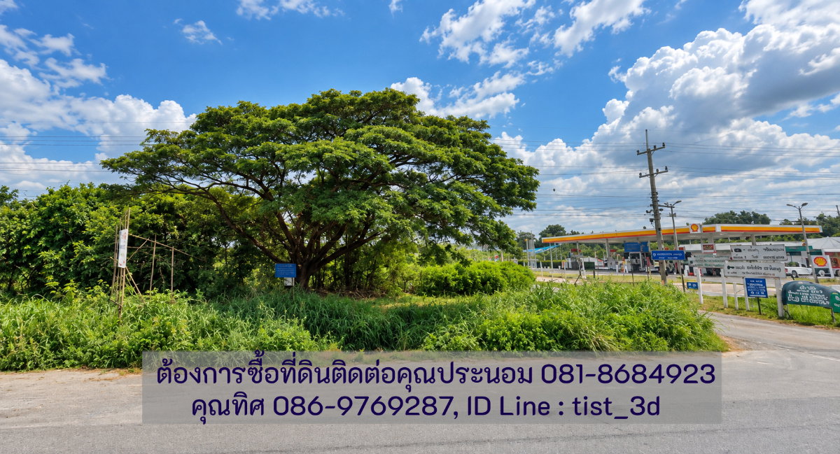 รูป ขายที่ดินแปลงใหญ่ ปากช่อง ติดถนนมิตรภาพ โฉนดที่ดิน ครุตแดง (น.ส.4.จ)  53 ไร่ 1 งาน 73.8 ตารางวา - รูปที่ 7/17