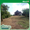 listing thumbnail image 32