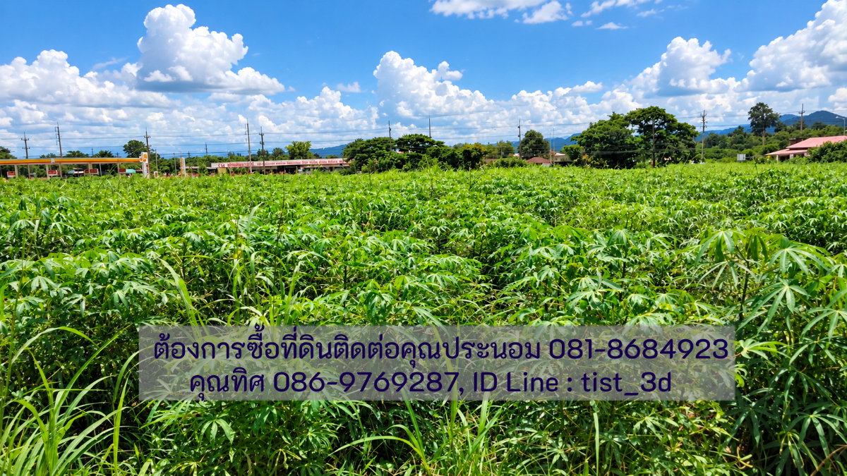 รูป ขายที่ดินแปลงใหญ่ ปากช่อง ติดถนนมิตรภาพ โฉนดที่ดิน ครุตแดง (น.ส.4.จ)  53 ไร่ 1 งาน 73.8 ตารางวา - รูปที่ 14/17