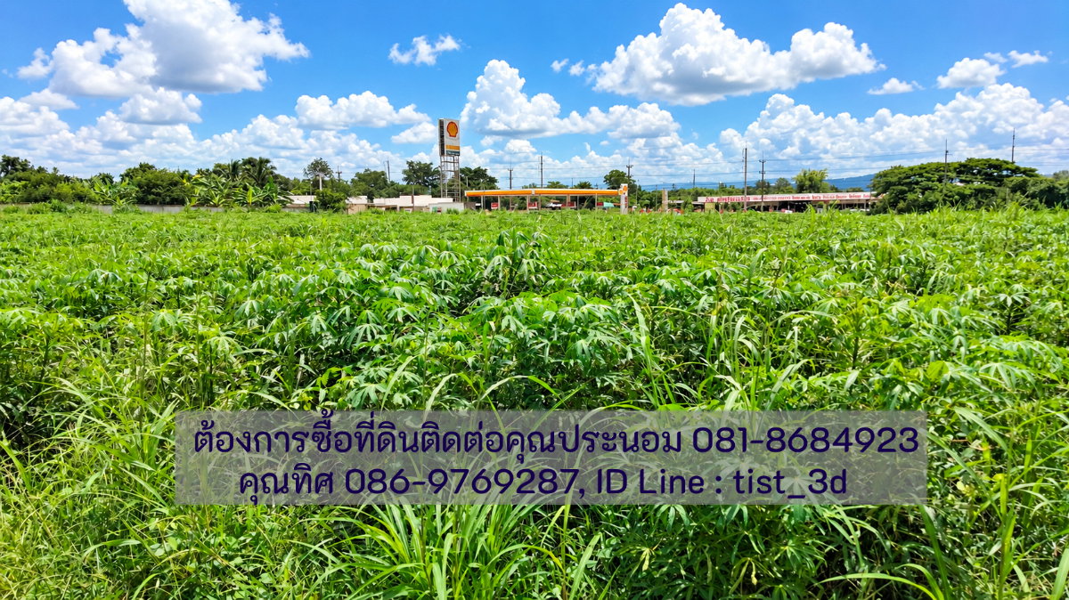รูป ขายที่ดินแปลงใหญ่ ปากช่อง ติดถนนมิตรภาพ โฉนดที่ดิน ครุตแดง (น.ส.4.จ)  53 ไร่ 1 งาน 73.8 ตารางวา - รูปที่ 15/17