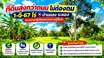 ที่ดิน เมืองระยอง ระยอง : ขายที่ดินวาละ 2,505 บาท สูงกว่าถนนไม่ต้องถม 1-0-67 ไร่ ติดสถานปฏิบัติธรรมหลวงปู่ขี้เถ้า บ้านแลง ระยอง 