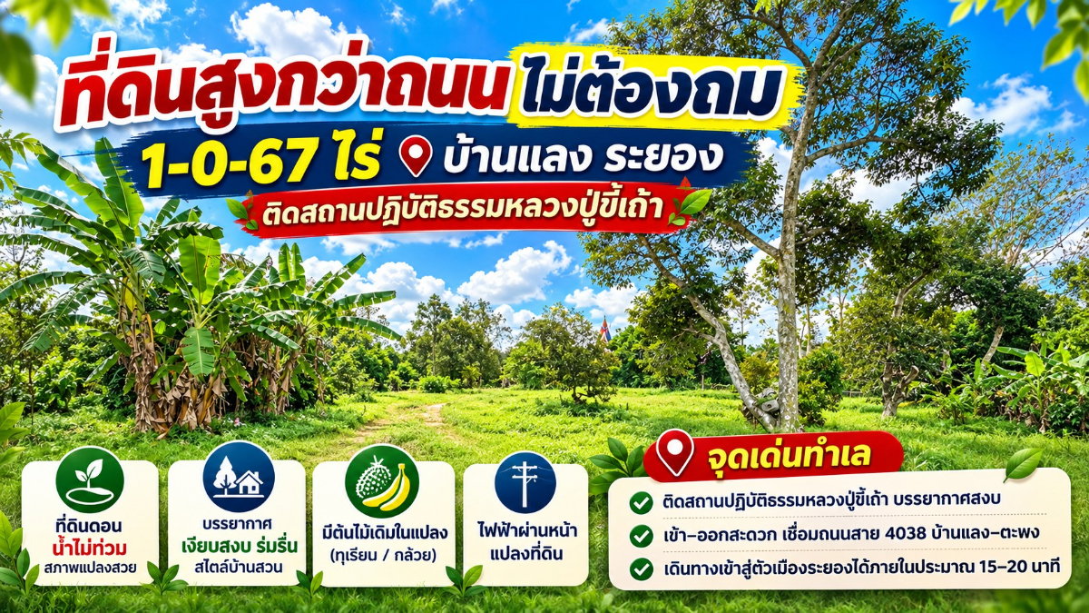 รูป ขายที่ดินวาละ 2,505 บาท สูงกว่าถนนไม่ต้องถม 1-0-67 ไร่ ติดสถานปฏิบัติธรรมหลวงปู่ขี้เถ้า บ้านแลง ระยอง - รูปที่ 1/12