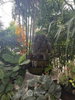 listing thumbnail image 28