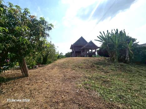 รูป บ้านเดี่ยว 398 ตร.วา บางระกำ พิษณุโลก 2.6M - รูปที่ 32/35