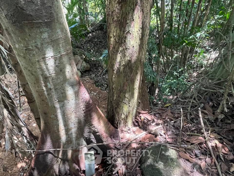 รูป ที่ดินสำหรับปล่อยเช่า 3,908.8 ตารางเมตร แถว ใน ตลิ่งงาม (ID 3347208) - รูปที่ 5/5