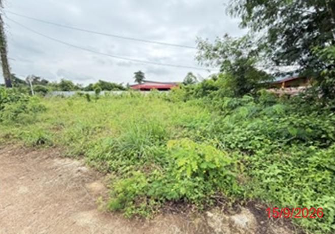 รูป ที่ดินว่างเปล่า 210.4 ตร.วา หนองไผ่ เพชรบูรณ์ 632,000 - รูปที่ 9/25