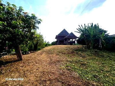 บ้านเดี่ยว 398 ตร.วา บางระกำ พิษณุโลก 2.6M