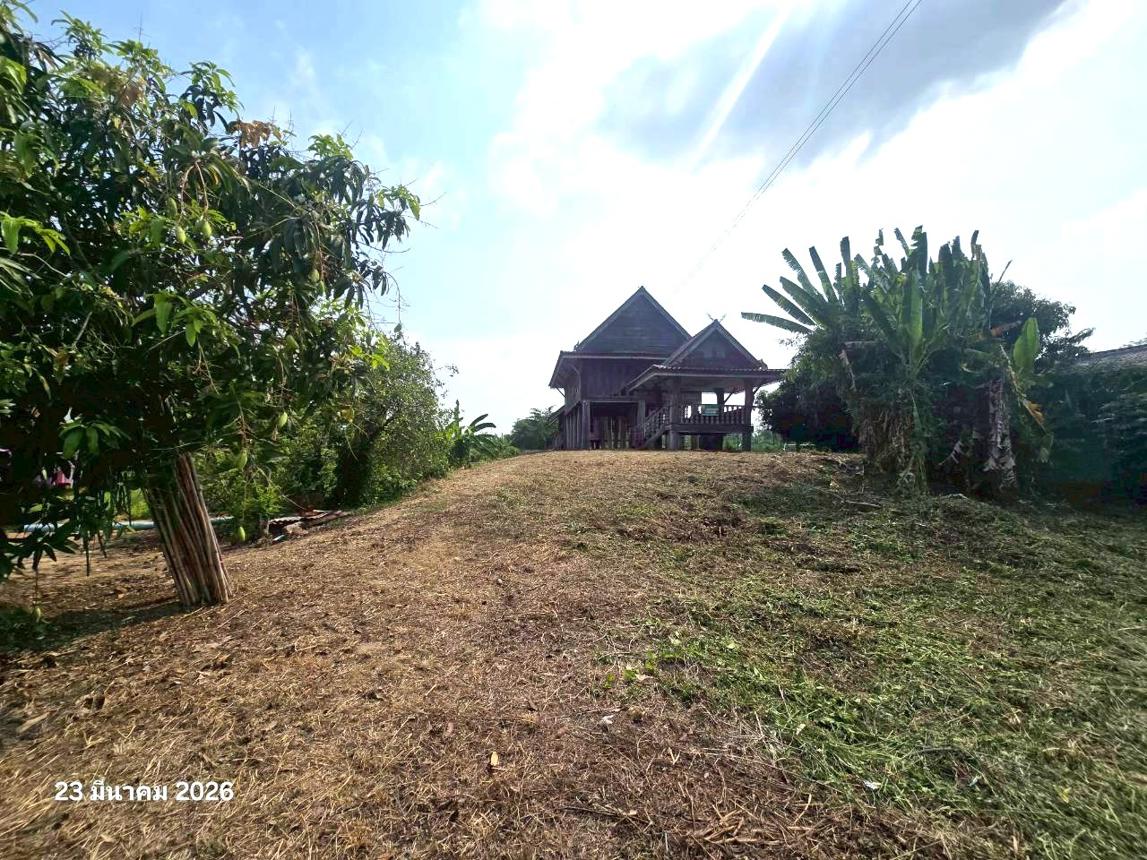 รูป บ้านเดี่ยว 398 ตร.วา บางระกำ พิษณุโลก 2.6M - รูปที่ 17/35